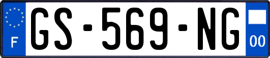 GS-569-NG