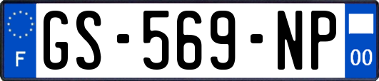 GS-569-NP