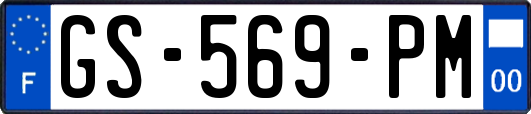 GS-569-PM