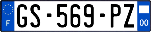 GS-569-PZ