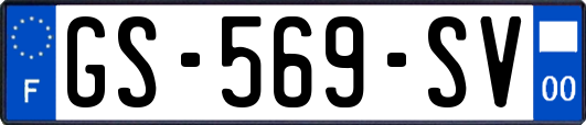 GS-569-SV