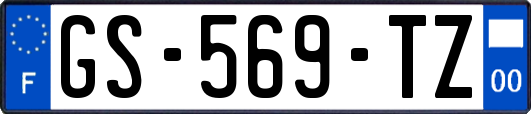 GS-569-TZ