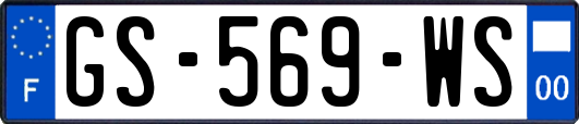GS-569-WS