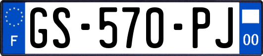 GS-570-PJ