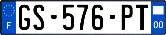 GS-576-PT