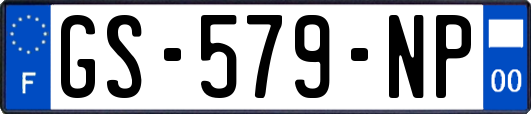 GS-579-NP