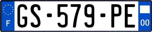 GS-579-PE