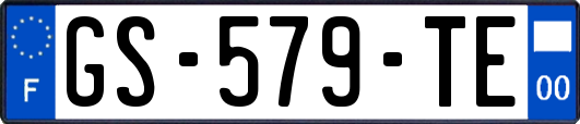 GS-579-TE