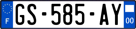 GS-585-AY