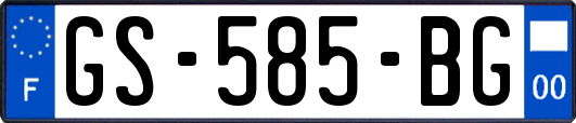 GS-585-BG