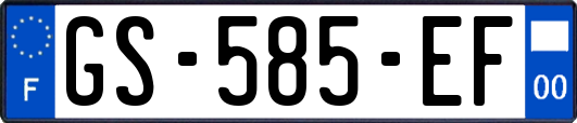 GS-585-EF