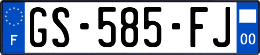 GS-585-FJ