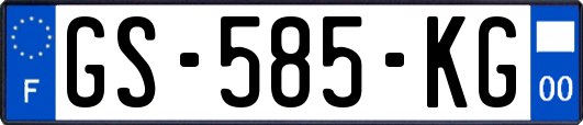 GS-585-KG