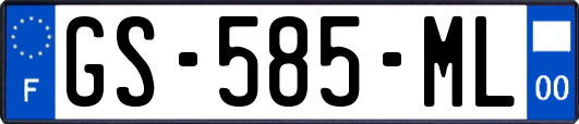 GS-585-ML