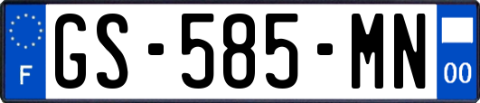 GS-585-MN