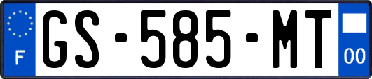 GS-585-MT