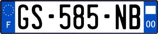 GS-585-NB