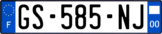 GS-585-NJ