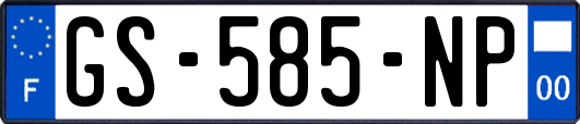 GS-585-NP