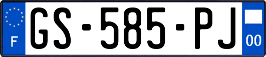 GS-585-PJ
