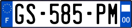 GS-585-PM