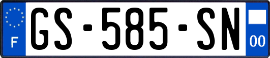 GS-585-SN