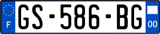 GS-586-BG