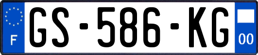 GS-586-KG