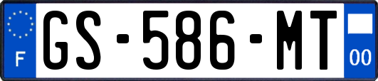 GS-586-MT