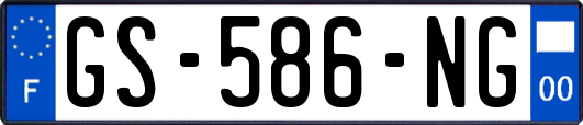 GS-586-NG