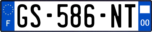 GS-586-NT