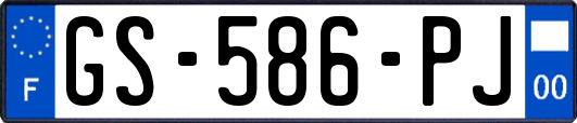 GS-586-PJ