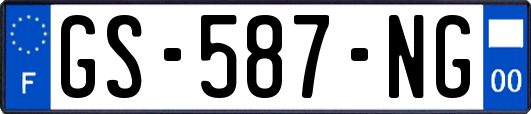 GS-587-NG