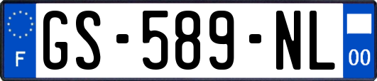 GS-589-NL