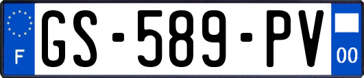 GS-589-PV