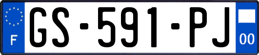 GS-591-PJ