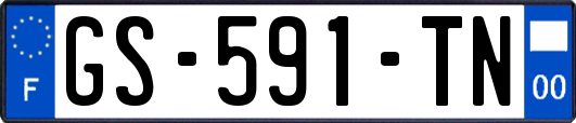 GS-591-TN