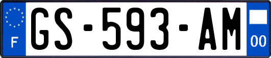 GS-593-AM