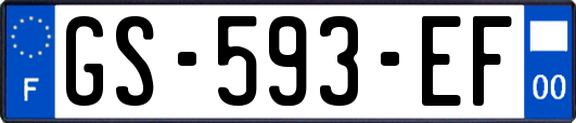 GS-593-EF