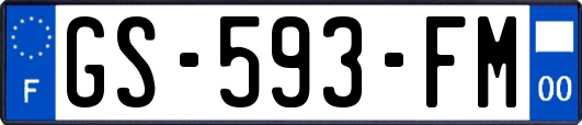 GS-593-FM