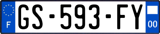 GS-593-FY