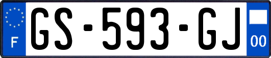 GS-593-GJ