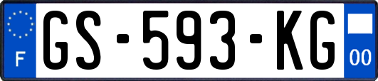 GS-593-KG