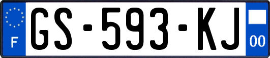 GS-593-KJ