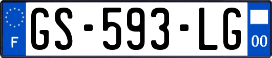GS-593-LG