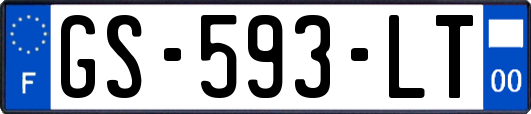 GS-593-LT