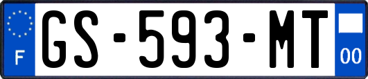 GS-593-MT