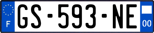 GS-593-NE