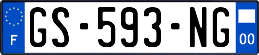 GS-593-NG