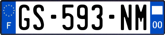 GS-593-NM